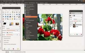 Como resaltar colores en una imagen en B/N con Gimp Como resaltar colores en una imagen en B/N con Gimp