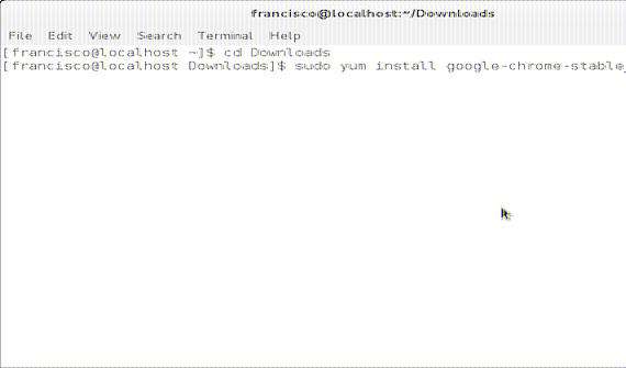 Cómo instalar Google Chrome en Fedora/Open Suse Cómo instalar Google Chrome en Fedora/Open Suse