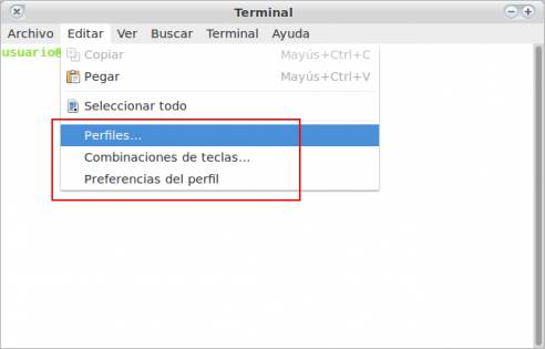Editando la terminal