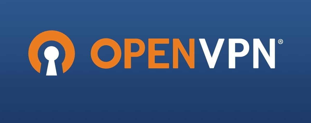 openvpn openvpn