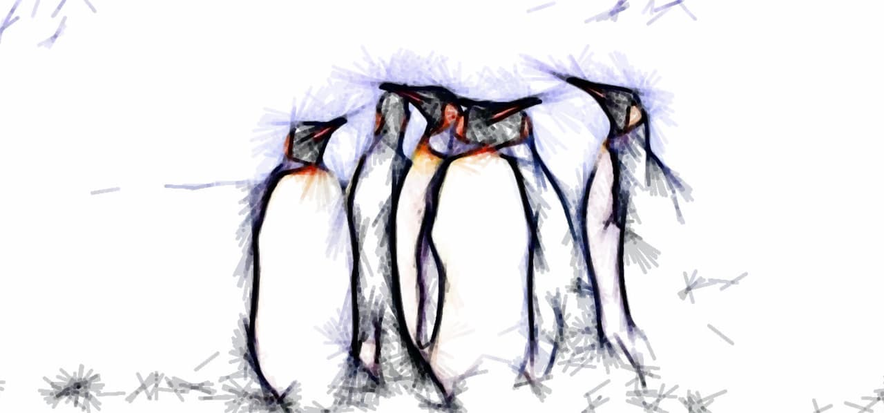 penguins penguins